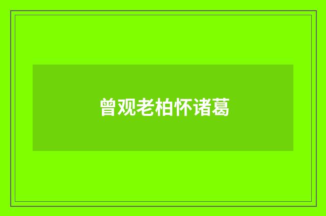 曾观老柏怀诸葛