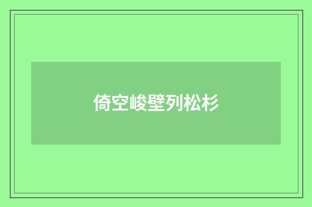 倚空峻壁列松杉