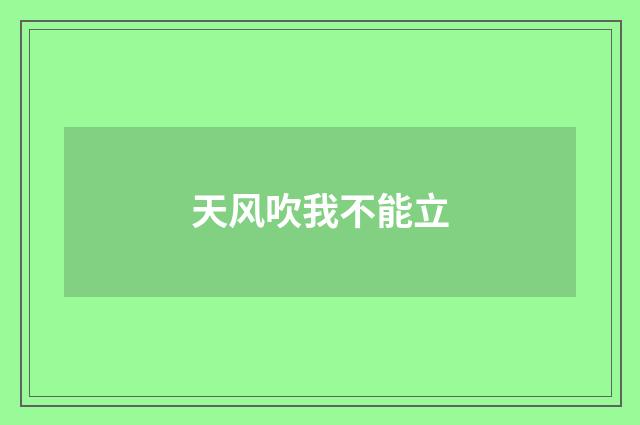 天风吹我不能立