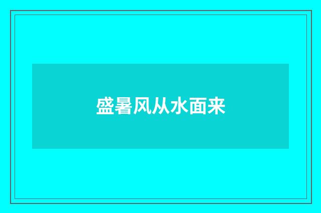 盛暑风从水面来