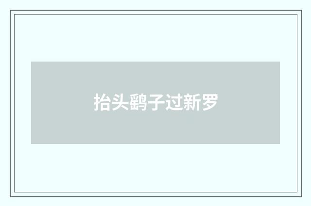 抬头鹞子过新罗