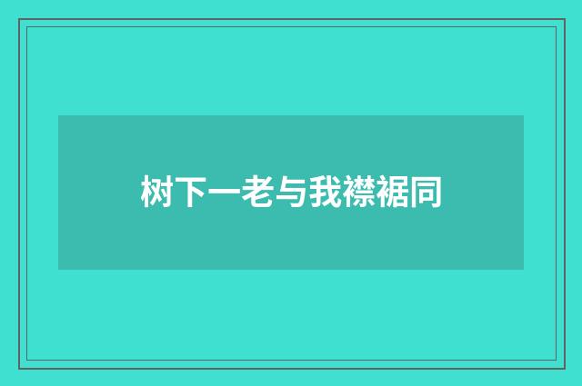 树下一老与我襟裾同