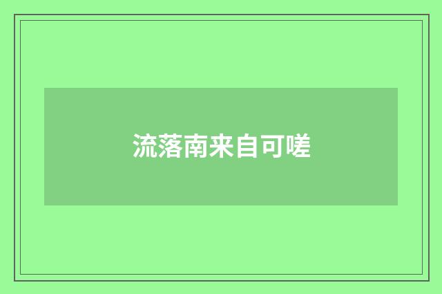 流落南来自可嗟
