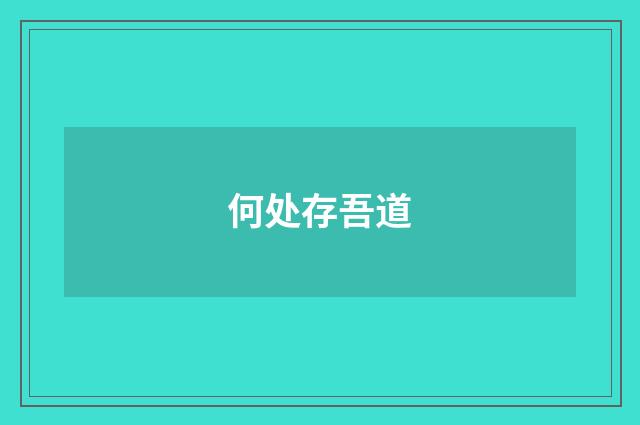 何处存吾道