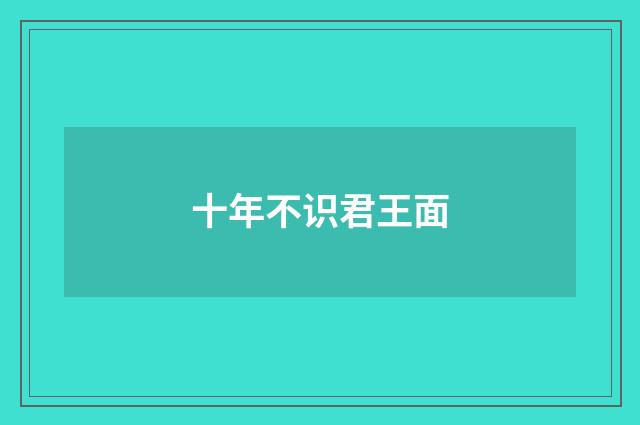 十年不识君王面