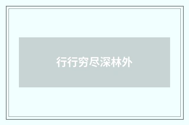 行行穷尽深林外