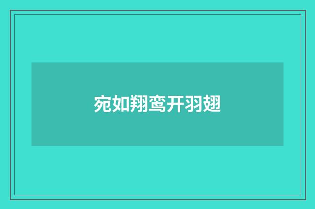 宛如翔鸾开羽翅