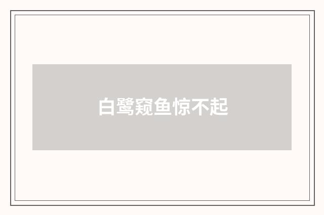 白鹭窥鱼惊不起