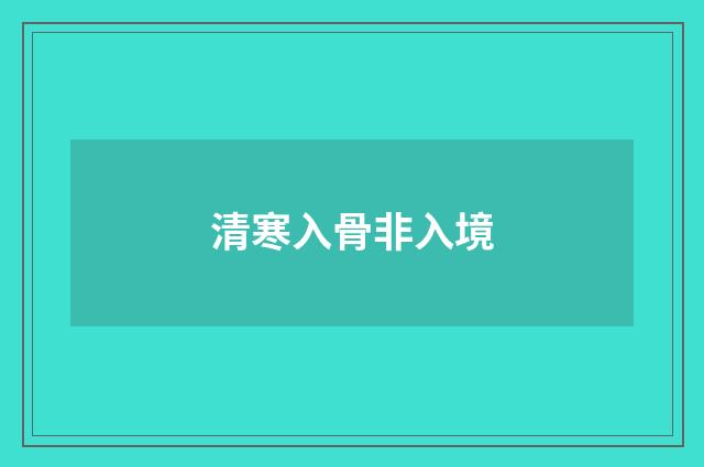 清寒入骨非入境