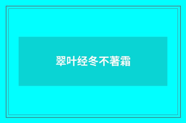 翠叶经冬不著霜