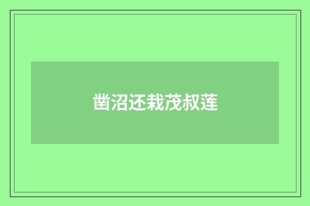 凿沼还栽茂叔莲