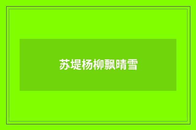 苏堤杨柳飘晴雪
