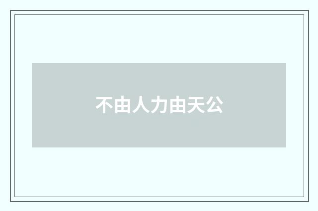 不由人力由天公