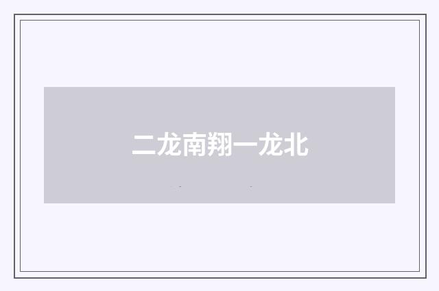 二龙南翔一龙北