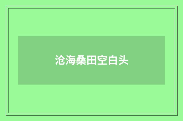 沧海桑田空白头