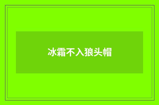 冰霜不入狼头帽