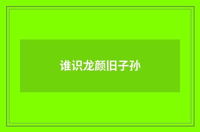 谁识龙颜旧子孙