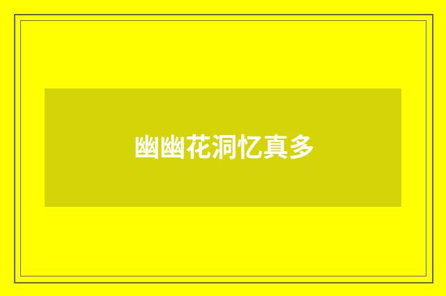 幽幽花洞忆真多