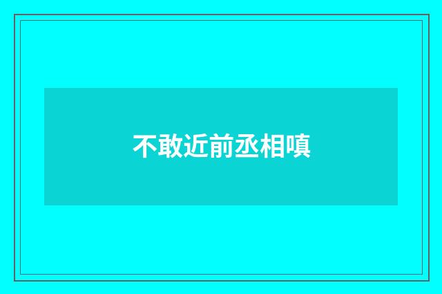 不敢近前丞相嗔