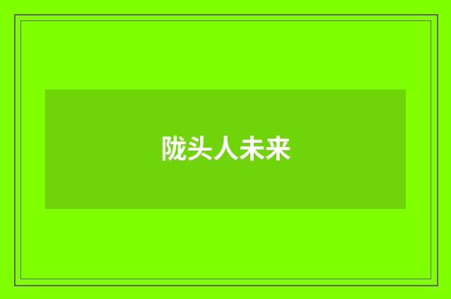 陇头人未来