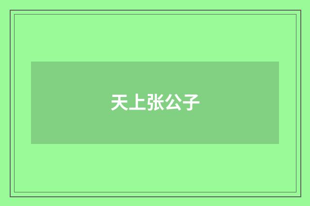 天上张公子