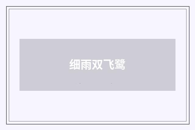 细雨双飞鹭