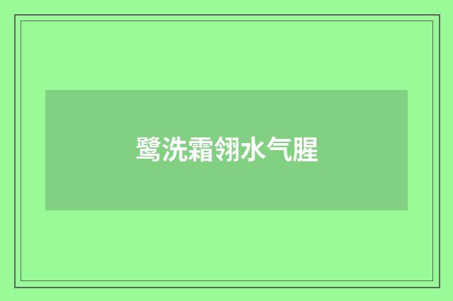 鹭洗霜翎水气腥