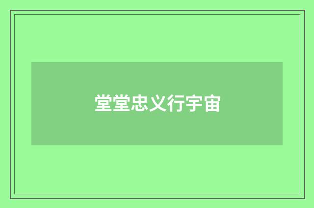 堂堂忠义行宇宙