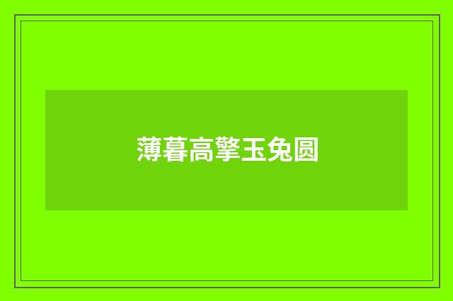 薄暮高擎玉兔圆