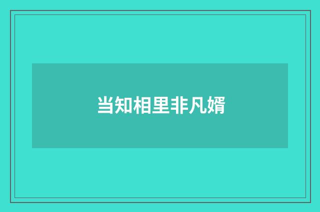 当知相里非凡婿