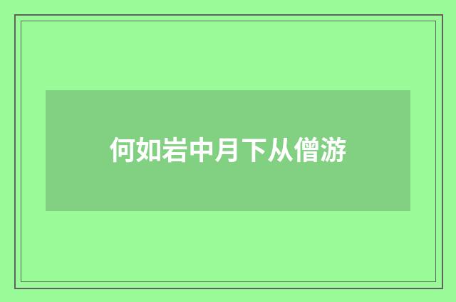 何如岩中月下从僧游