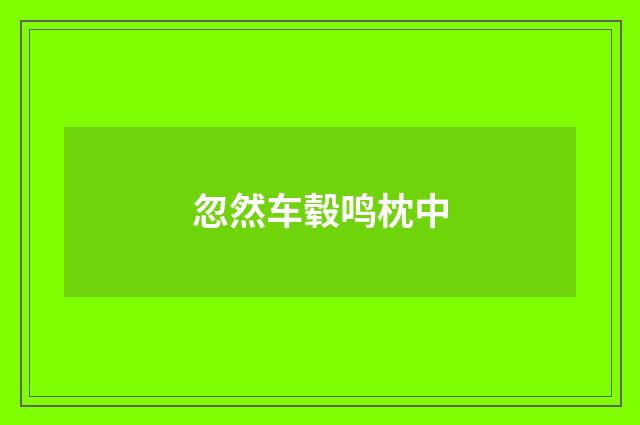 忽然车毂鸣枕中