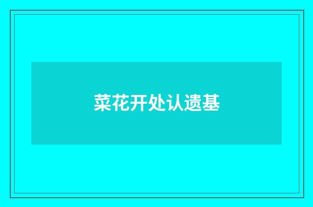 菜花开处认遗基