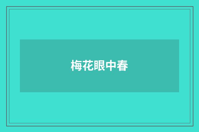梅花眼中春