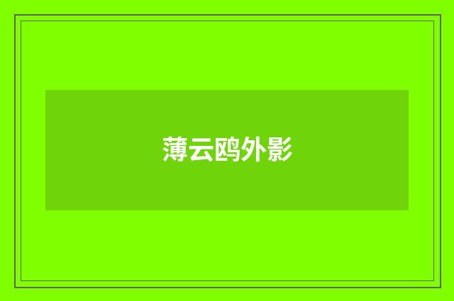 薄云鸥外影