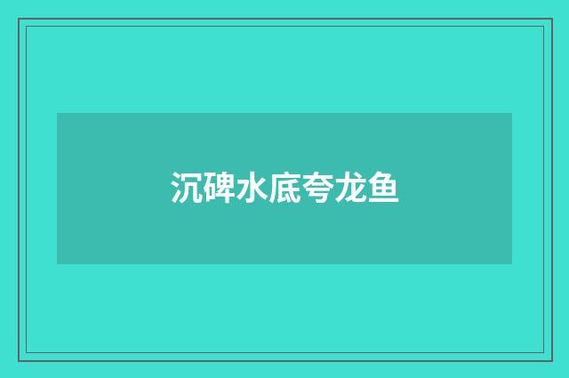 沉碑水底夸龙鱼