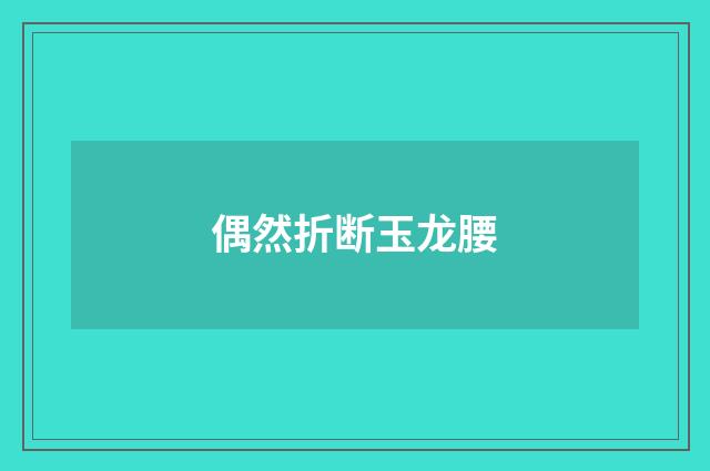 偶然折断玉龙腰