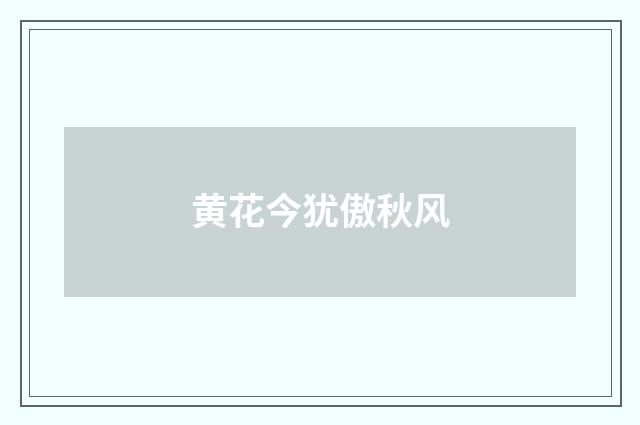 黄花今犹傲秋风