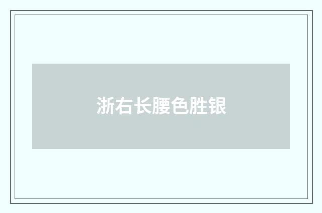 浙右长腰色胜银