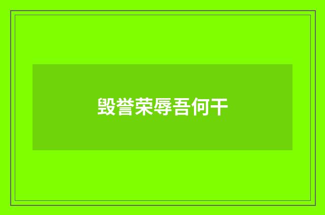 毁誉荣辱吾何干