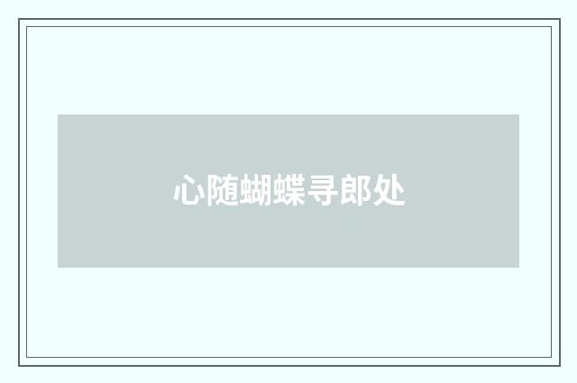 心随蝴蝶寻郎处