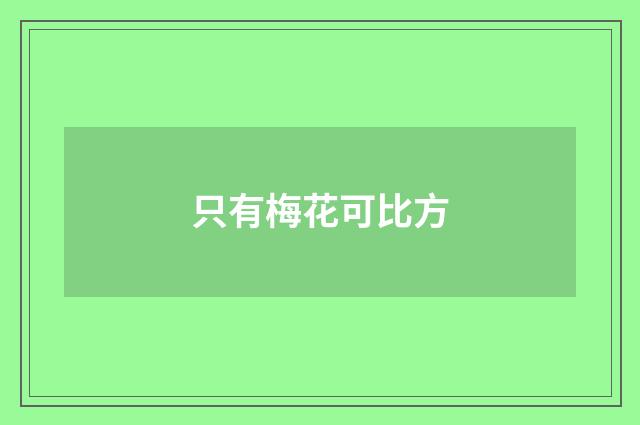 只有梅花可比方