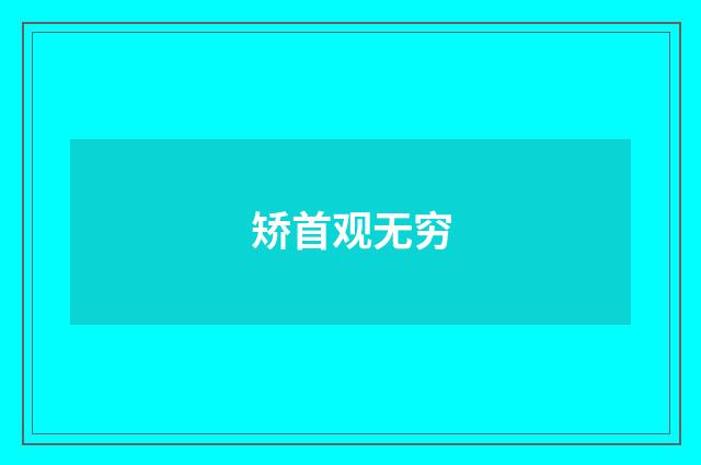 矫首观无穷