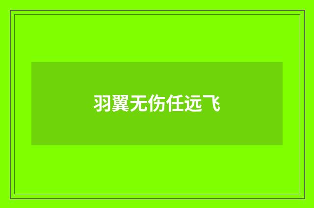 羽翼无伤任远飞