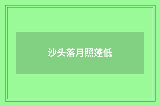 沙头落月照蓬低