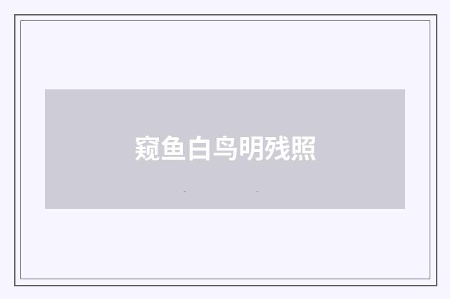 窥鱼白鸟明残照