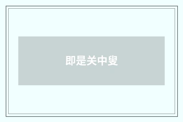 即是关中叟