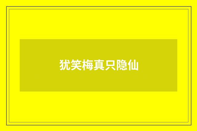 犹笑梅真只隐仙
