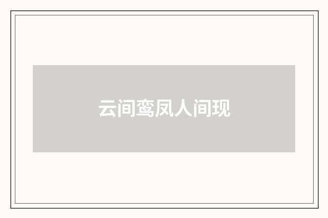 云间鸾凤人间现