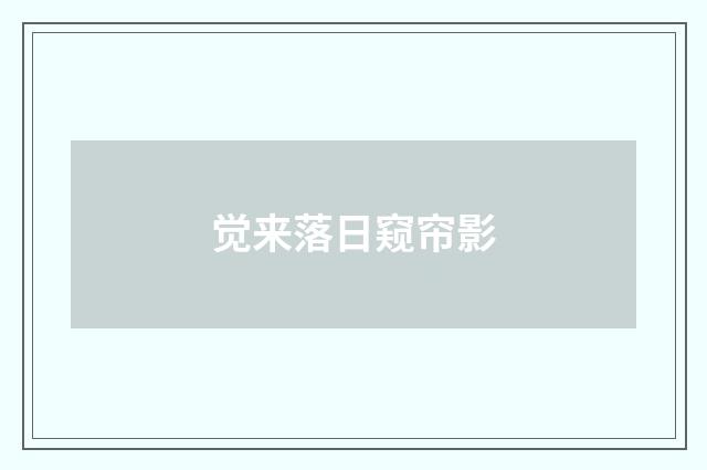 觉来落日窥帘影
